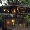 Tree-House-2