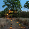 Pench-Tree-Lodge