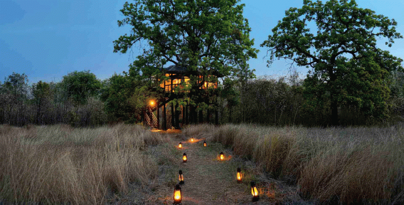 Pench-Tree-Lodge